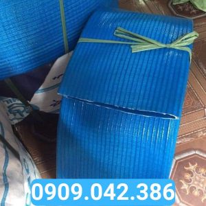 ống bạt bơm nước phi 200 2